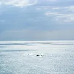 Preciosa Casa Con Piscina Desbordante Y Vistas Al Mar